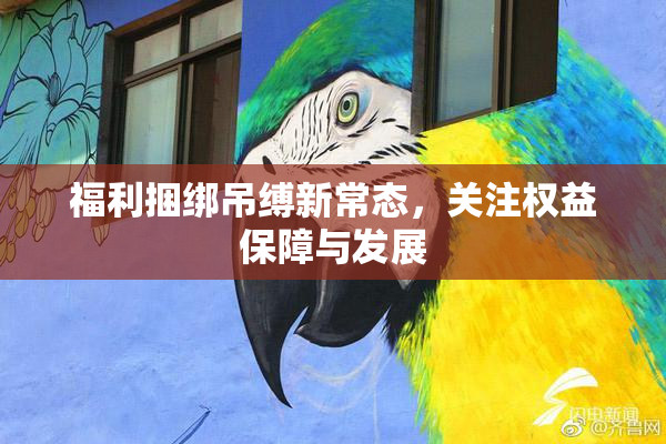 福利捆绑吊缚新常态，关注权益保障与发展