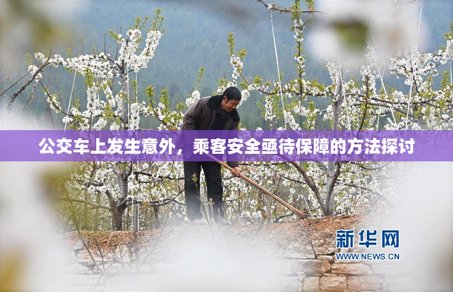 公交车上发生意外，乘客安全亟待保障的方法探讨