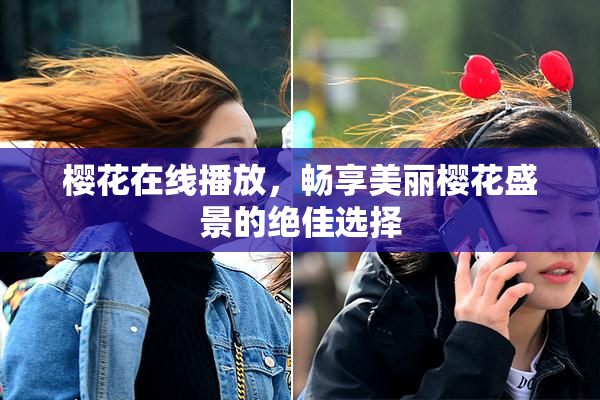 樱花在线播放，畅享美丽樱花盛景的绝佳选择
