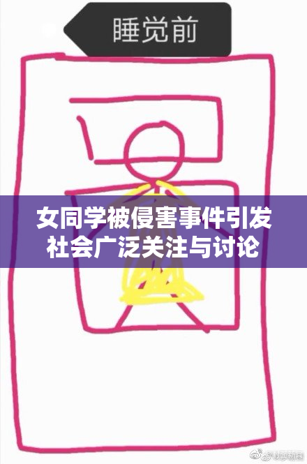 女同学被侵害事件引发社会广泛关注与讨论