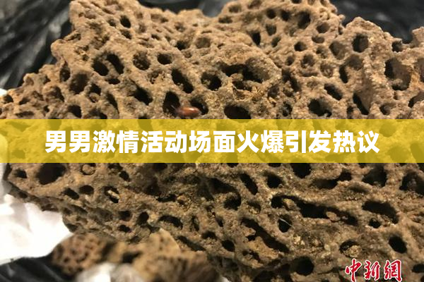 男男激情活动场面火爆引发热议