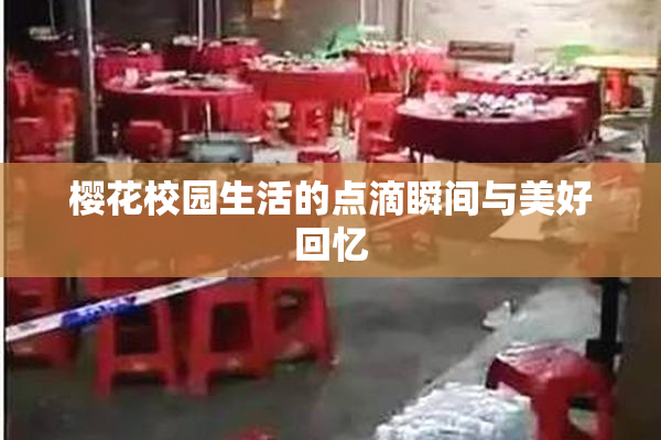 樱花校园生活的点滴瞬间与美好回忆