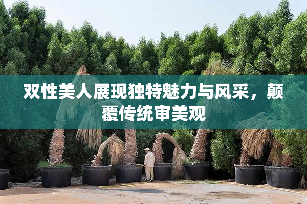 双性美人展现独特魅力与风采，颠覆传统审美观