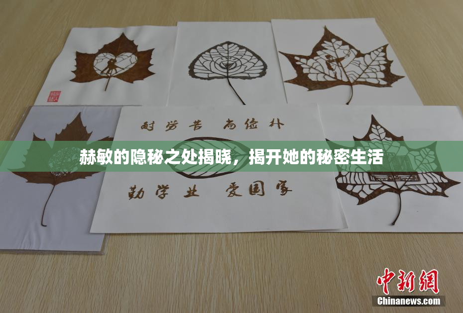 赫敏的隐秘之处揭晓，揭开她的秘密生活