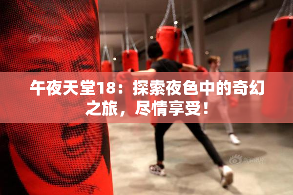 午夜天堂18：探索夜色中的奇幻之旅，尽情享受！