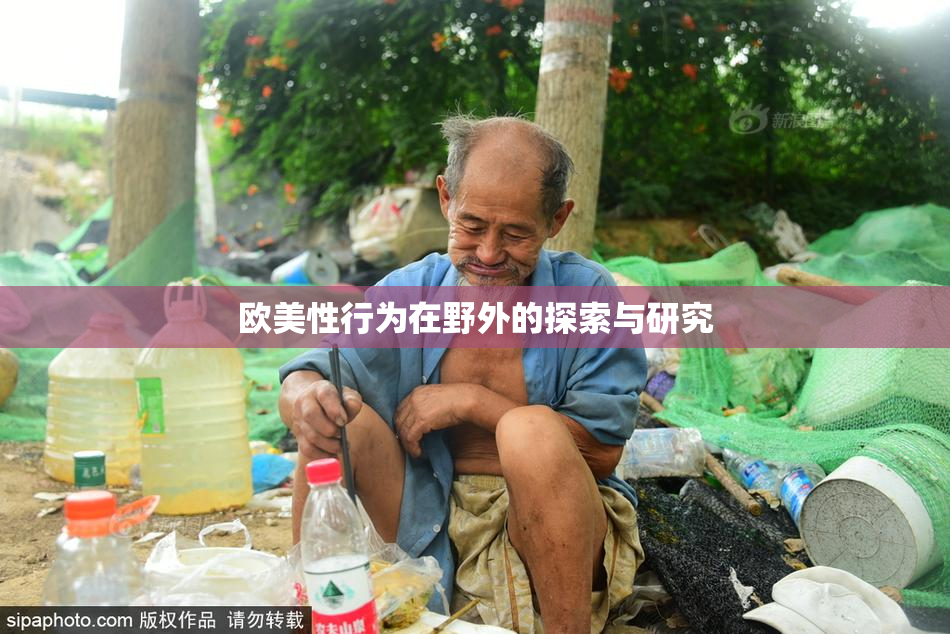 欧美性行为在野外的探索与研究