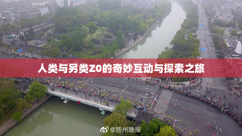 人类与另类Z0的奇妙互动与探索之旅