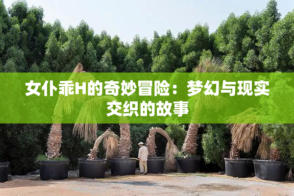 女仆乖H的奇妙冒险：梦幻与现实交织的故事