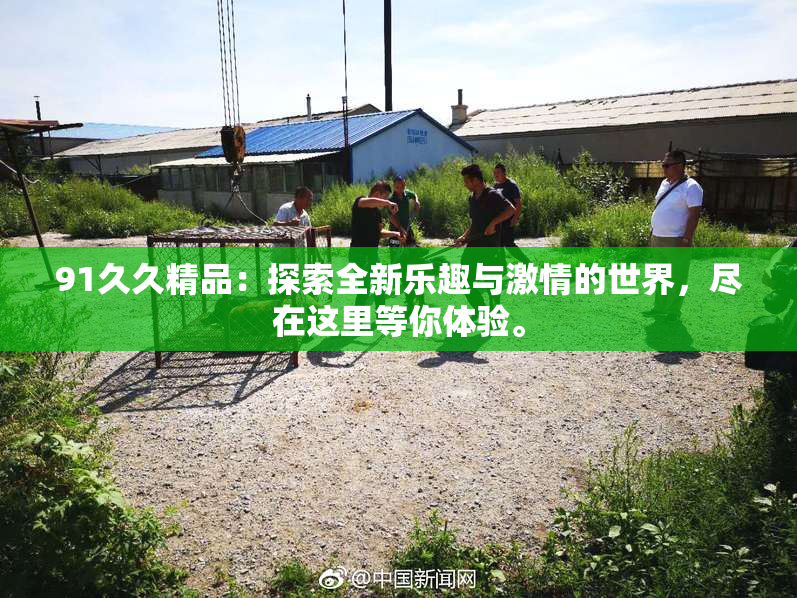 91久久精品：探索全新乐趣与激情的世界，尽在这里等你体验。
