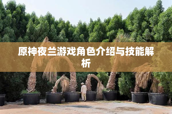 原神夜兰游戏角色介绍与技能解析