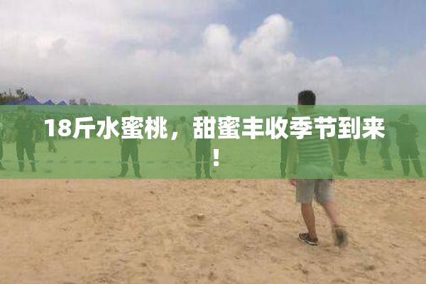 18斤水蜜桃，甜蜜丰收季节到来！