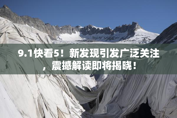9.1快看5！新发现引发广泛关注，震撼解读即将揭晓！