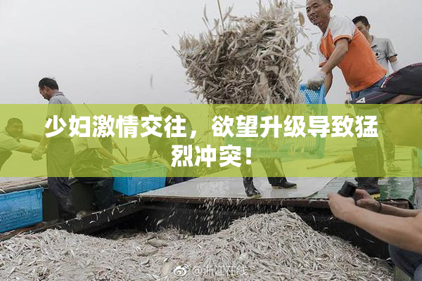 少妇激情交往，欲望升级导致猛烈冲突！