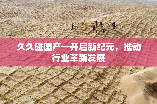 久久碰国产一开启新纪元，推动行业革新发展