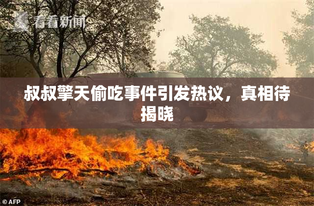叔叔擎天偷吃事件引发热议，真相待揭晓