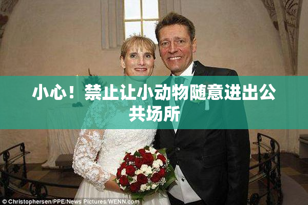 小心！禁止让小动物随意进出公共场所