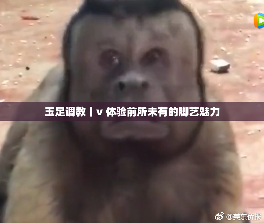 玉足调教丨v 体验前所未有的脚艺魅力