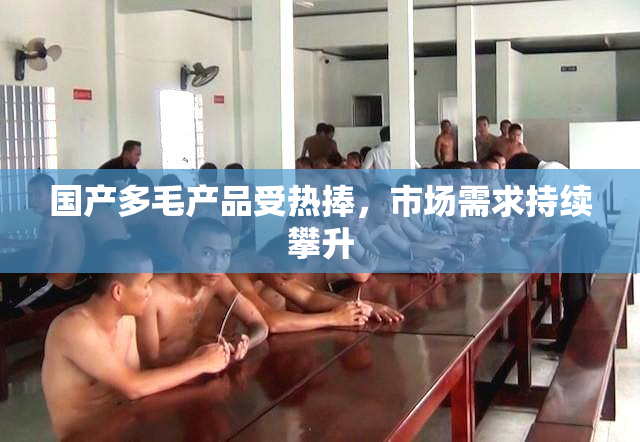 国产多毛产品受热捧，市场需求持续攀升