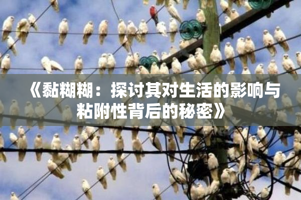 《黏糊糊：探讨其对生活的影响与粘附性背后的秘密》