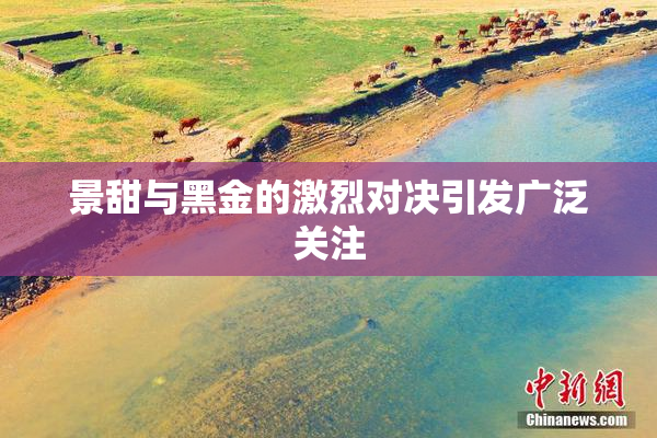 景甜与黑金的激烈对决引发广泛关注