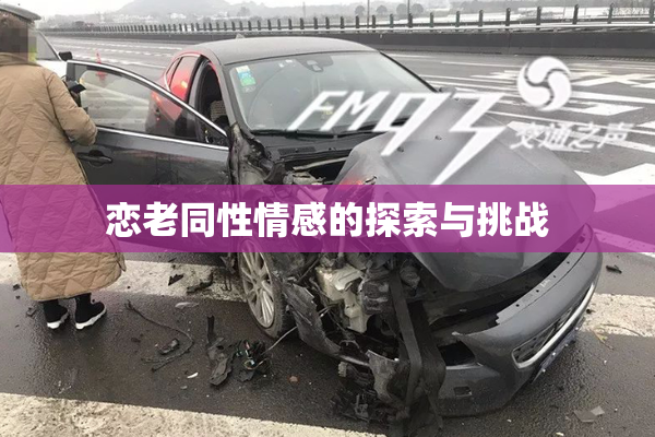 恋老同性情感的探索与挑战