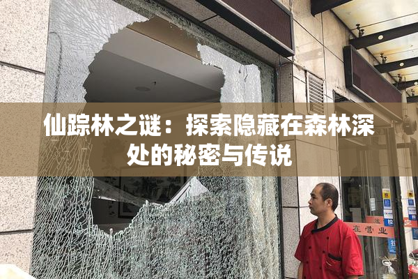 仙踪林之谜：探索隐藏在森林深处的秘密与传说