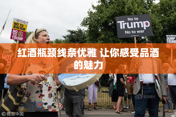 红酒瓶颈线条优雅 让你感受品酒的魅力