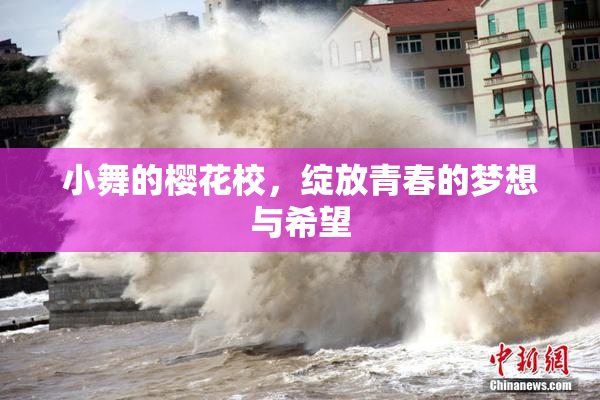 小舞的樱花校，绽放青春的梦想与希望