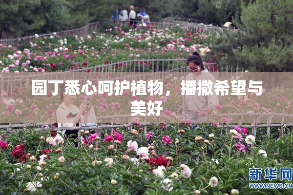 园丁悉心呵护植物，播撒希望与美好