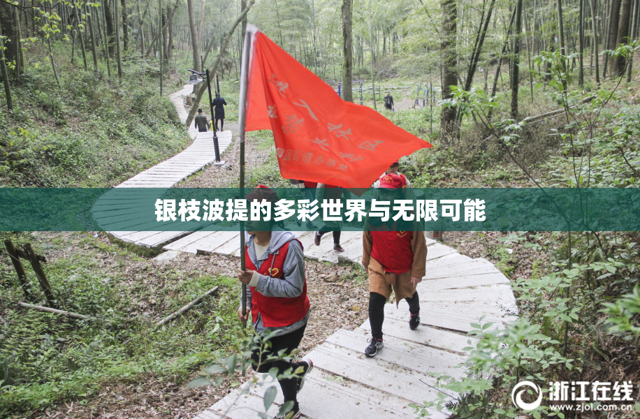 银枝波提的多彩世界与无限可能