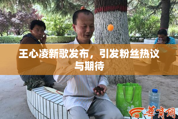 王心凌新歌发布，引发粉丝热议与期待