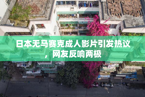 日本无马赛克成人影片引发热议，网友反响两极