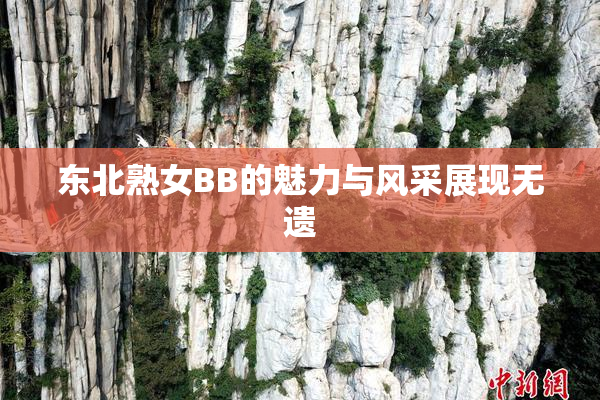 东北熟女BB的魅力与风采展现无遗