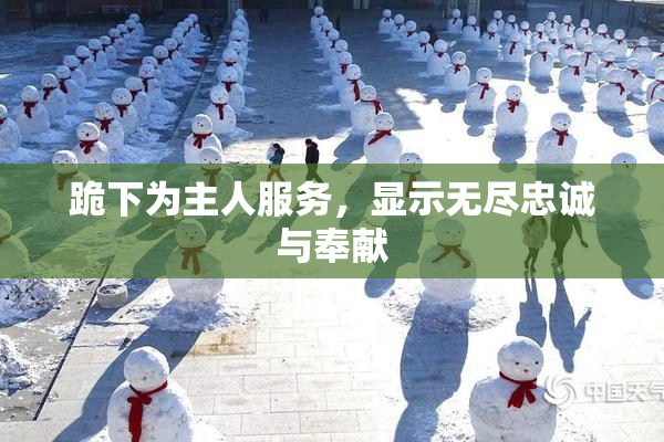 跪下为主人服务，显示无尽忠诚与奉献