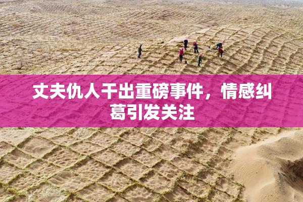 丈夫仇人干出重磅事件，情感纠葛引发关注