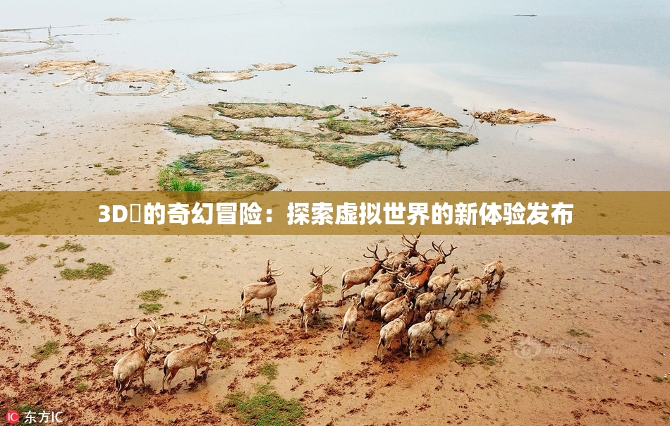 3D姉的奇幻冒险：探索虚拟世界的新体验发布