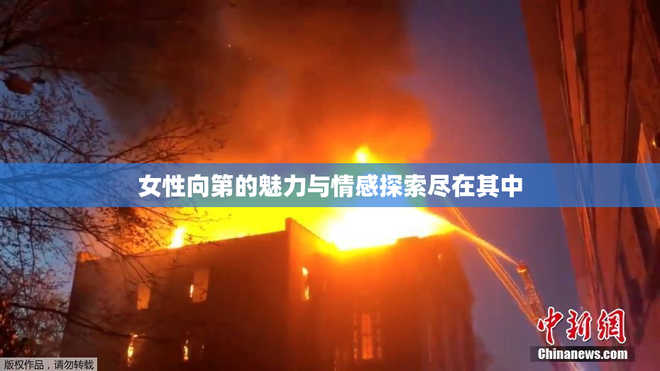 女性向第的魅力与情感探索尽在其中