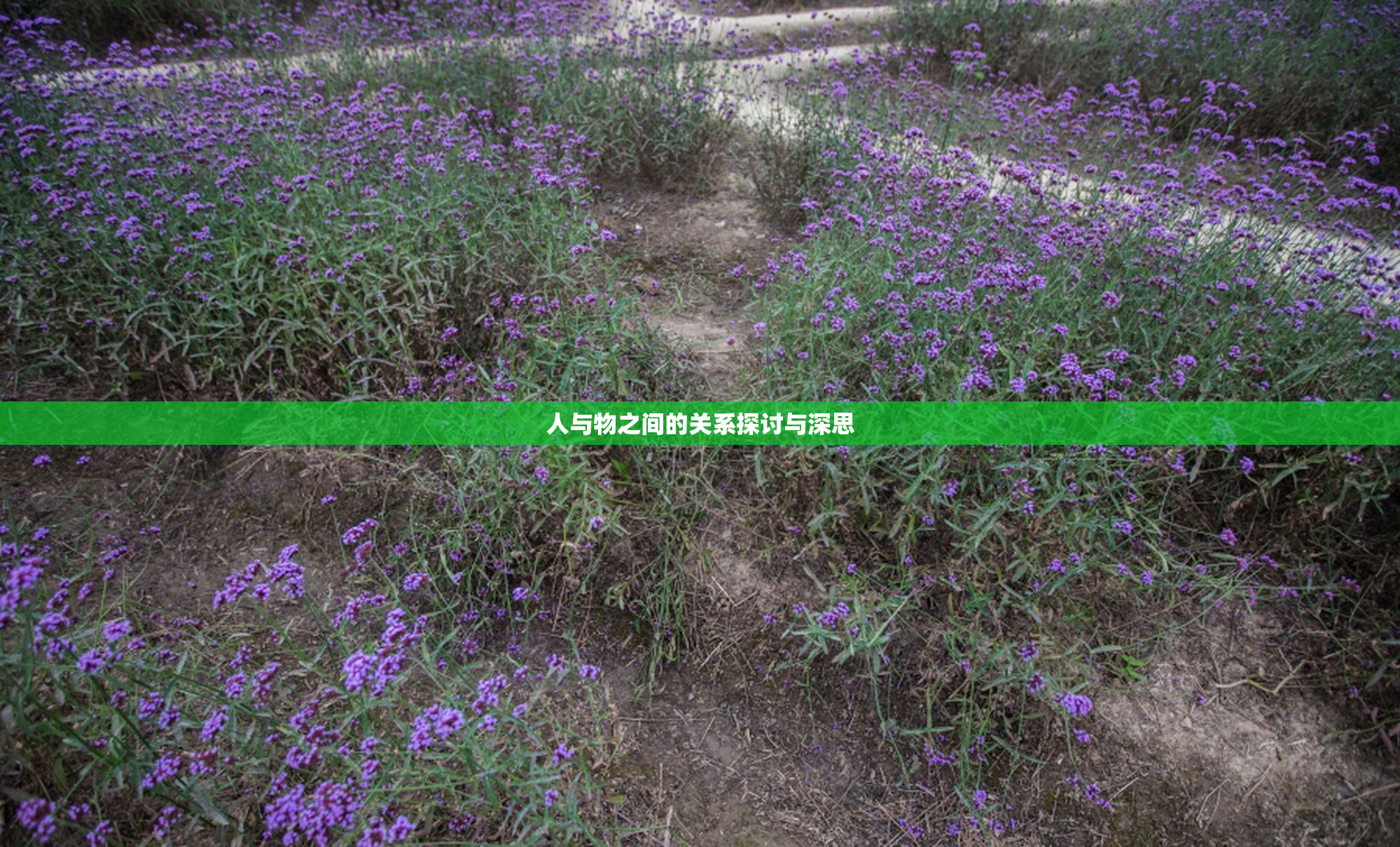 人与物之间的关系探讨与深思