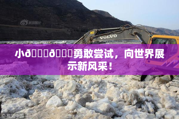 小🐔🐔勇敢尝试，向世界展示新风采！