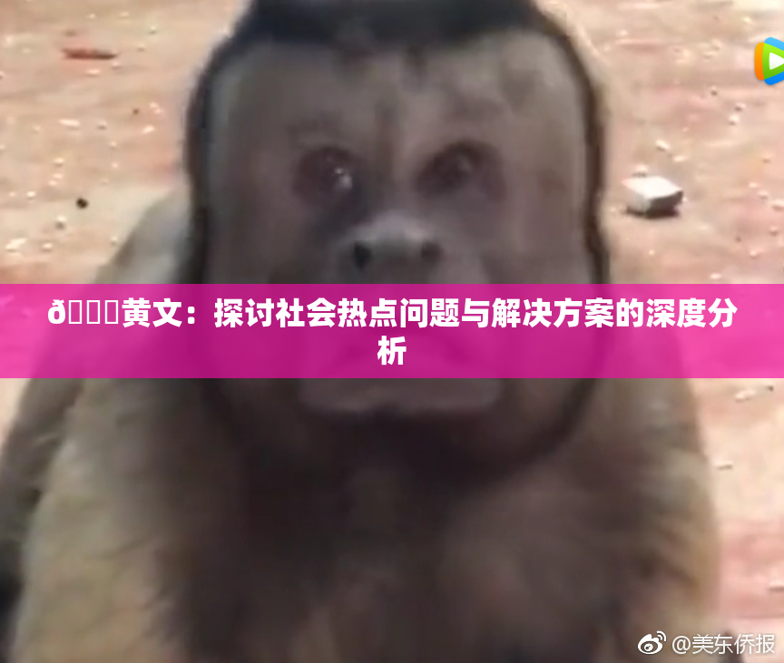 🔞黄文：探讨社会热点问题与解决方案的深度分析