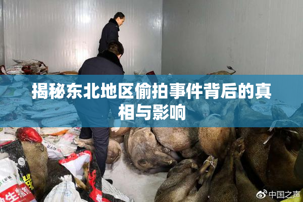 揭秘东北地区偷拍事件背后的真相与影响
