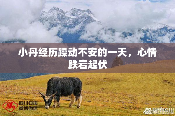 小丹经历躁动不安的一天，心情跌宕起伏