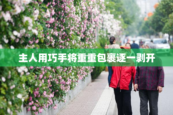 主人用巧手将重重包裹逐一剥开