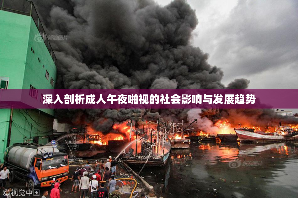 深入剖析成人午夜啪视的社会影响与发展趋势