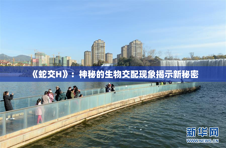 《蛇交H》：神秘的生物交配现象揭示新秘密