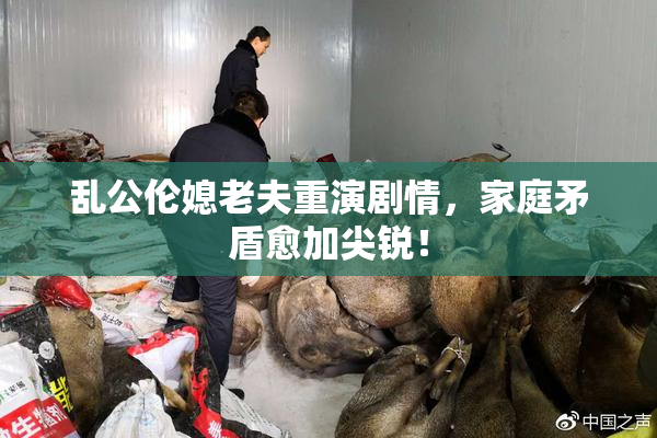 乱公伦媳老夫重演剧情，家庭矛盾愈加尖锐！