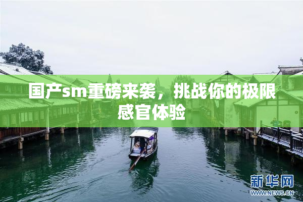 国产sm重磅来袭，挑战你的极限感官体验