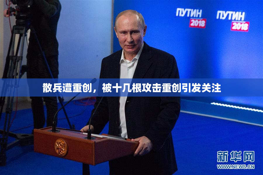散兵遭重创，被十几根攻击重创引发关注
