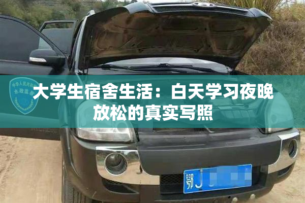 大学生宿舍生活：白天学习夜晚放松的真实写照