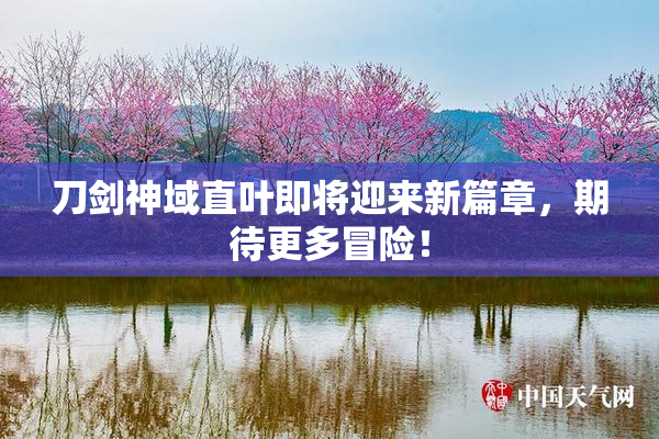 刀剑神域直叶即将迎来新篇章，期待更多冒险！